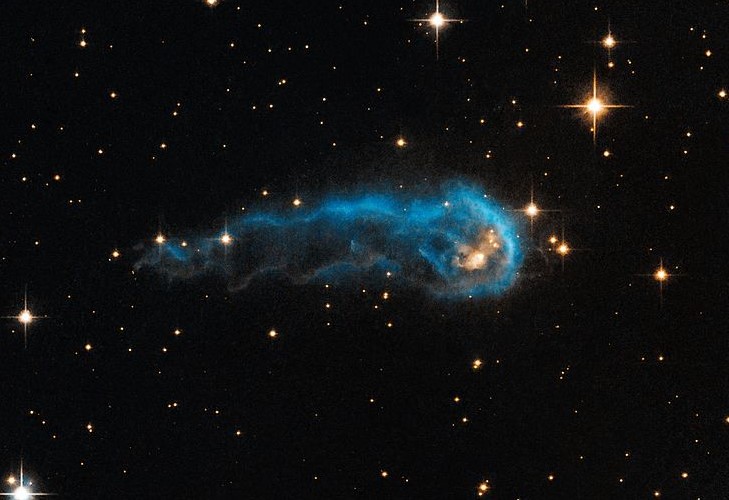 Protostar IRAS 20324+4057